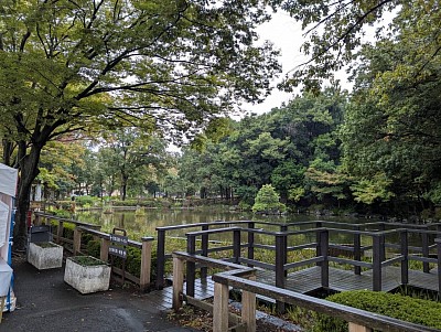雨に映える後谷公園